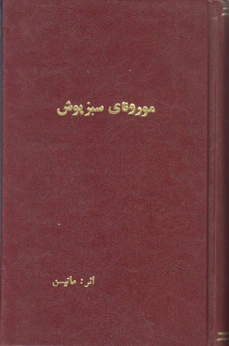مورونای سبز پوش (صحافی جلد مجدد)