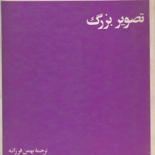 تصویر بزرگ