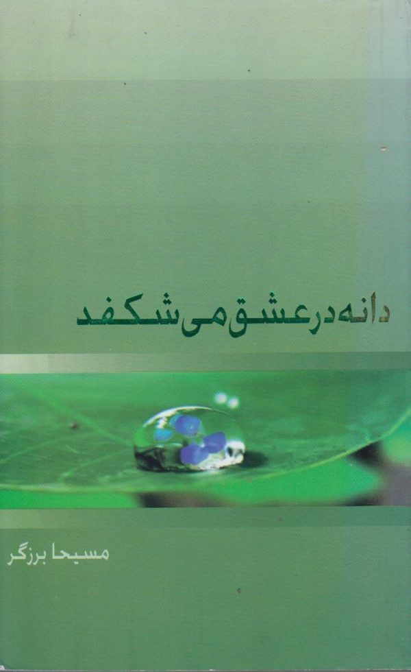 دانه در عشق می شکفد