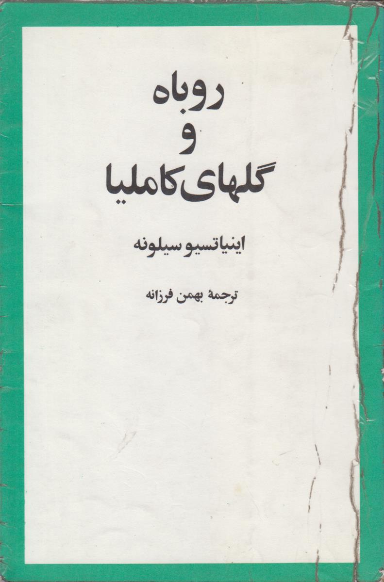 روباه و گل های کاملیا