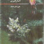 مرده ها جوان میمانند (2 جلدی)