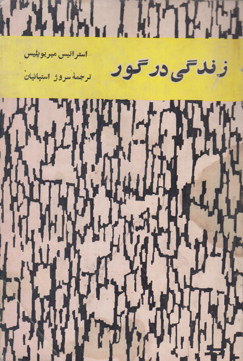 زندگی در گور