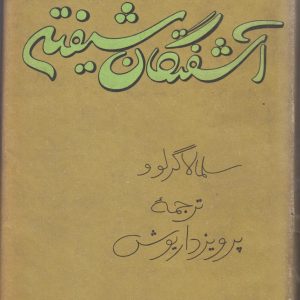 آشفتگان شیفته