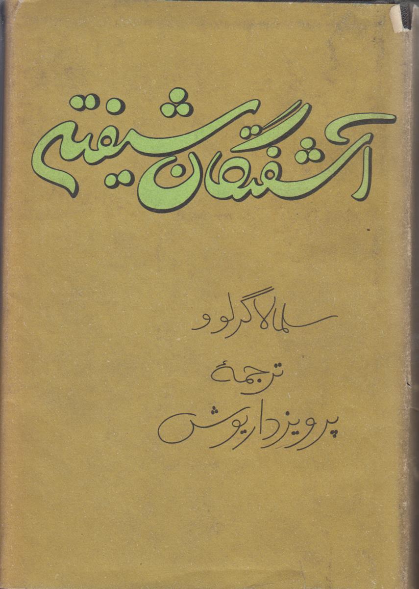 آشفتگان شیفته