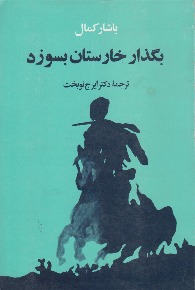 بگذار خارستان بسوزد