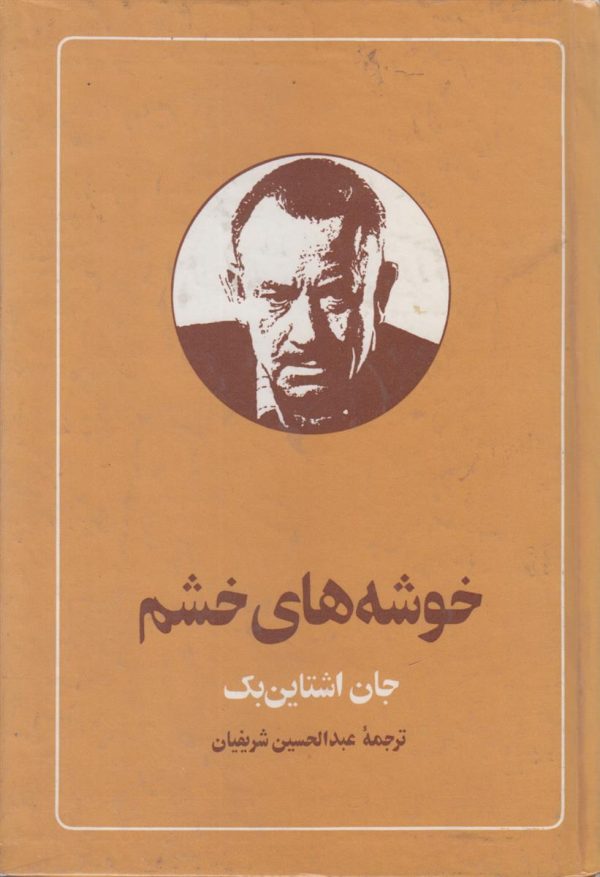 خوشه های خشم