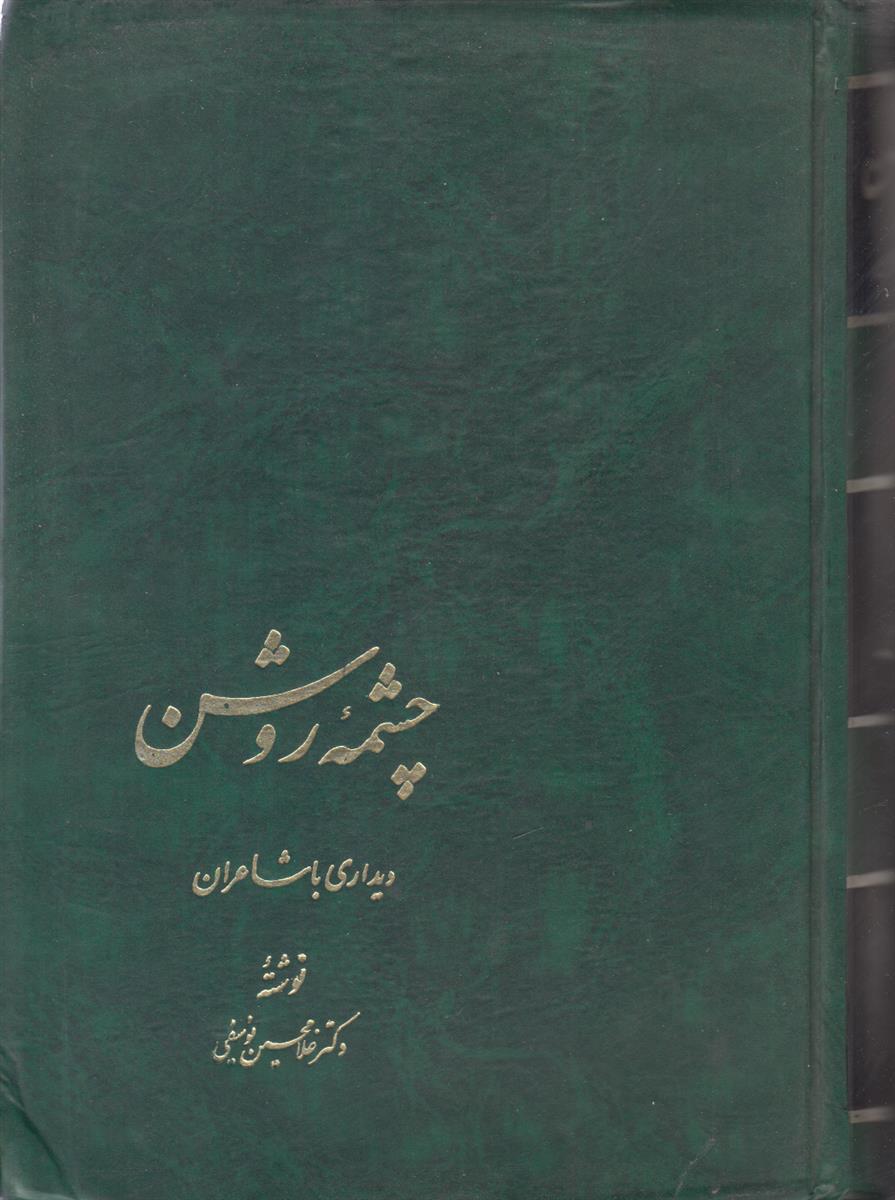 چشمه روشن {دیداری با شاعران}