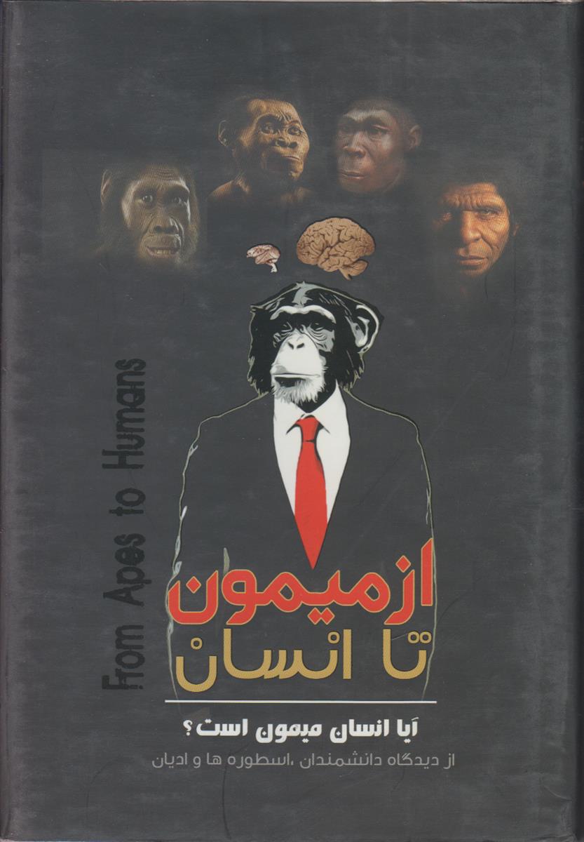 از میمون تا انسان آیا انسان میمون است...