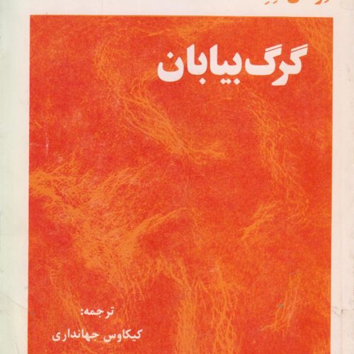گرگ بیابان