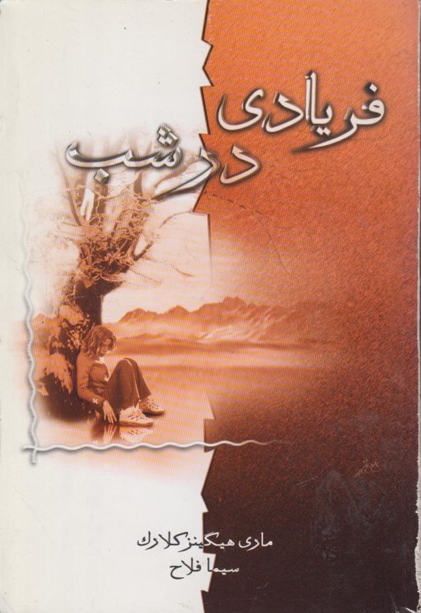 فریادی در شب