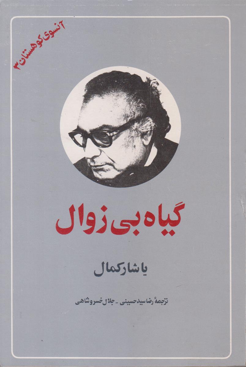 آنسوی کوهستان 3 (گیاه بی زوال)