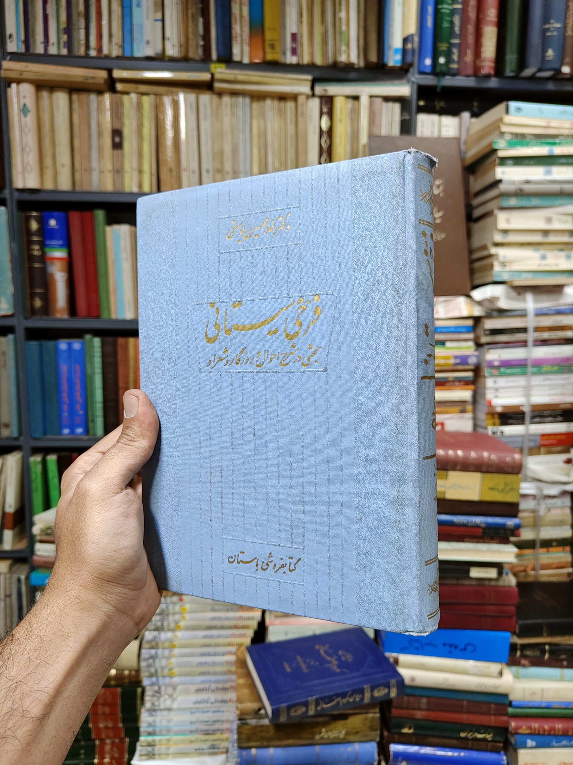 فرخی سیستانی (بحثی در شرح احوال و روزگار...