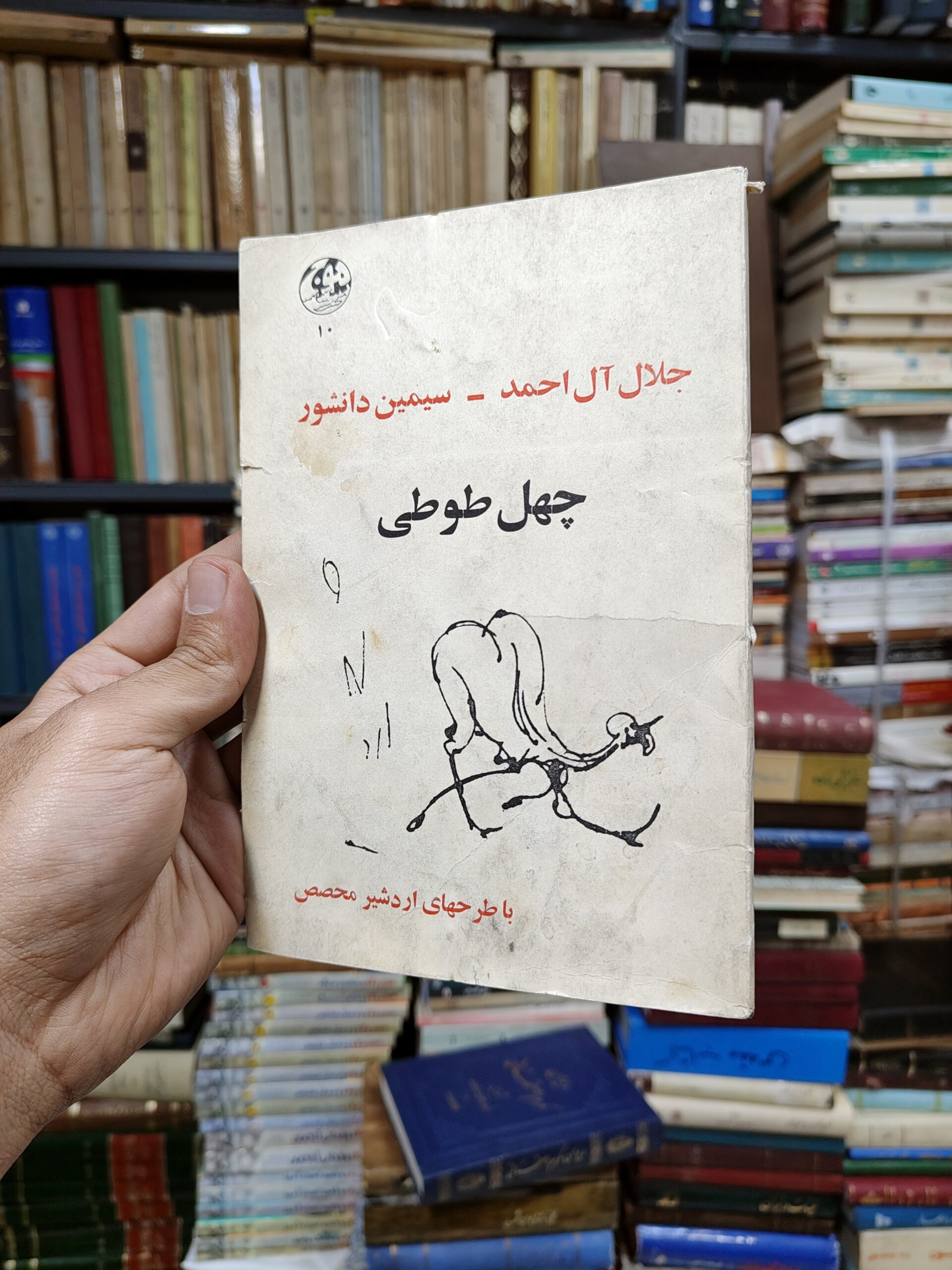 چهل طوطی (با طرح های اردشیر محصص)