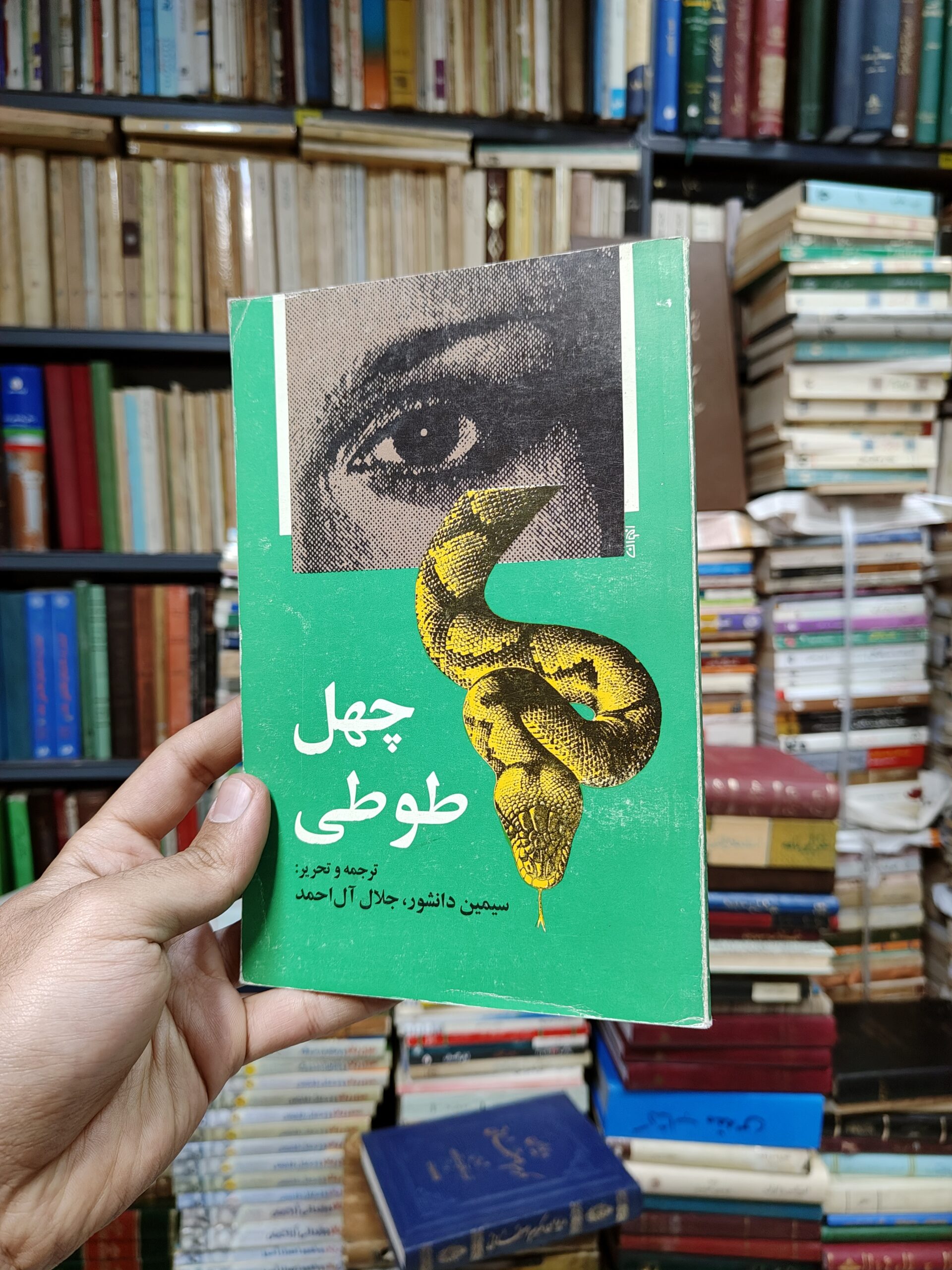چهل طوطی