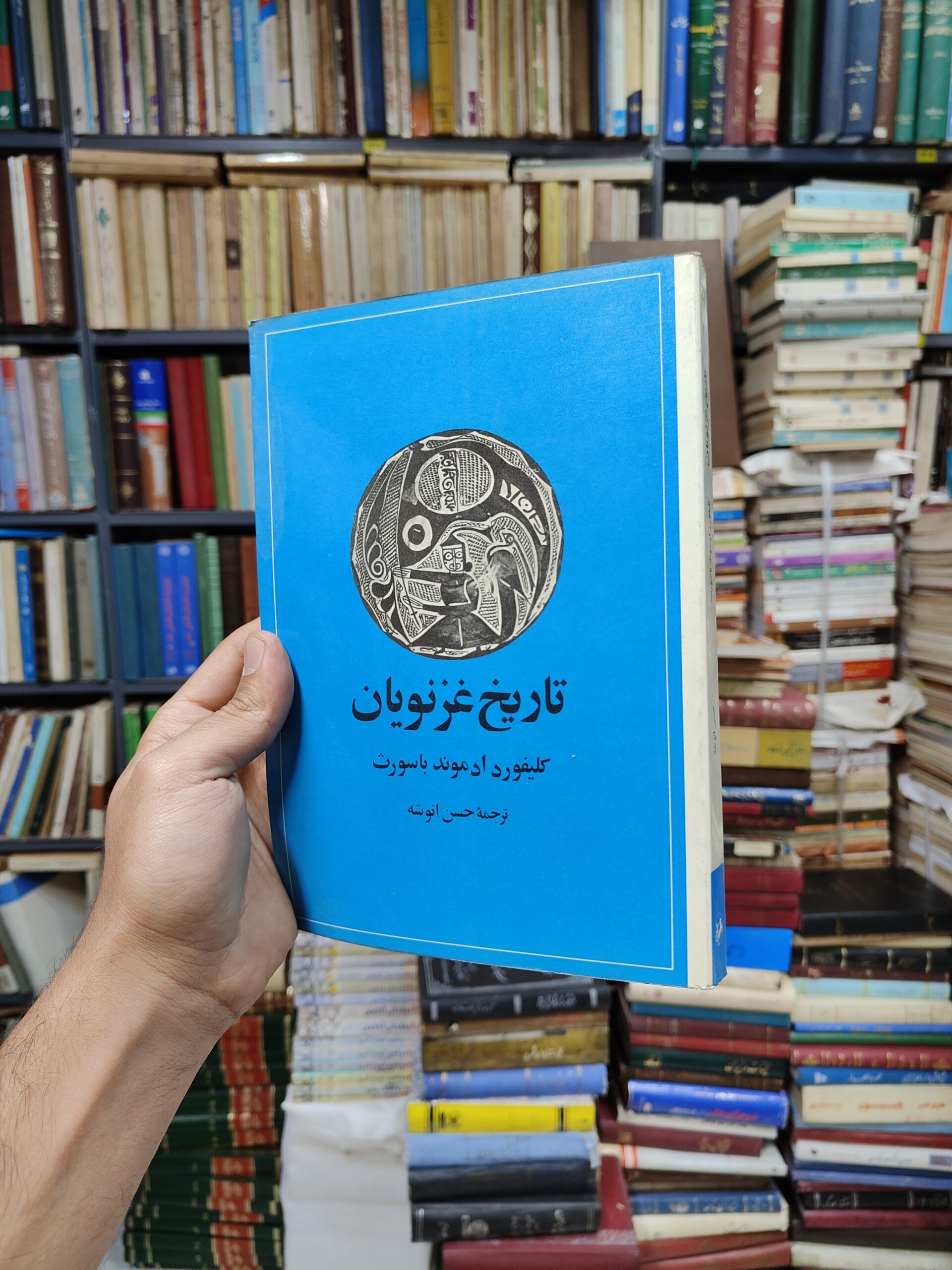 تاریخ غزنویان جلد 1