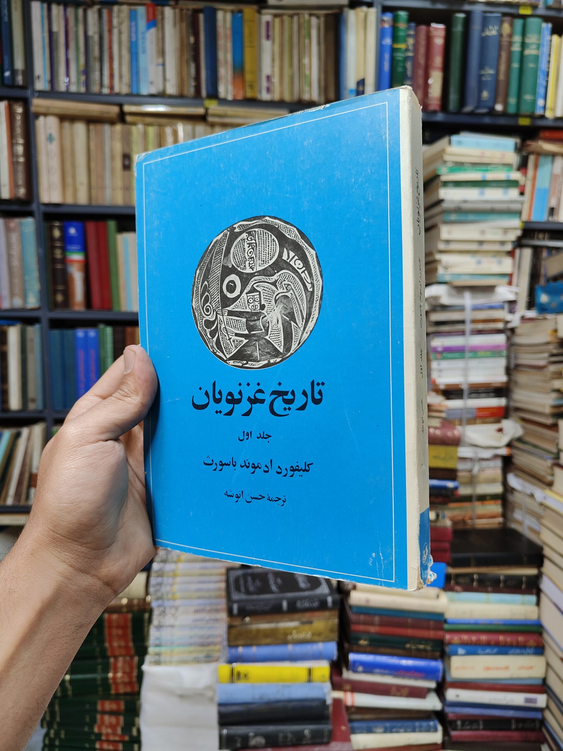 تاریخ غزنویان جلد 1