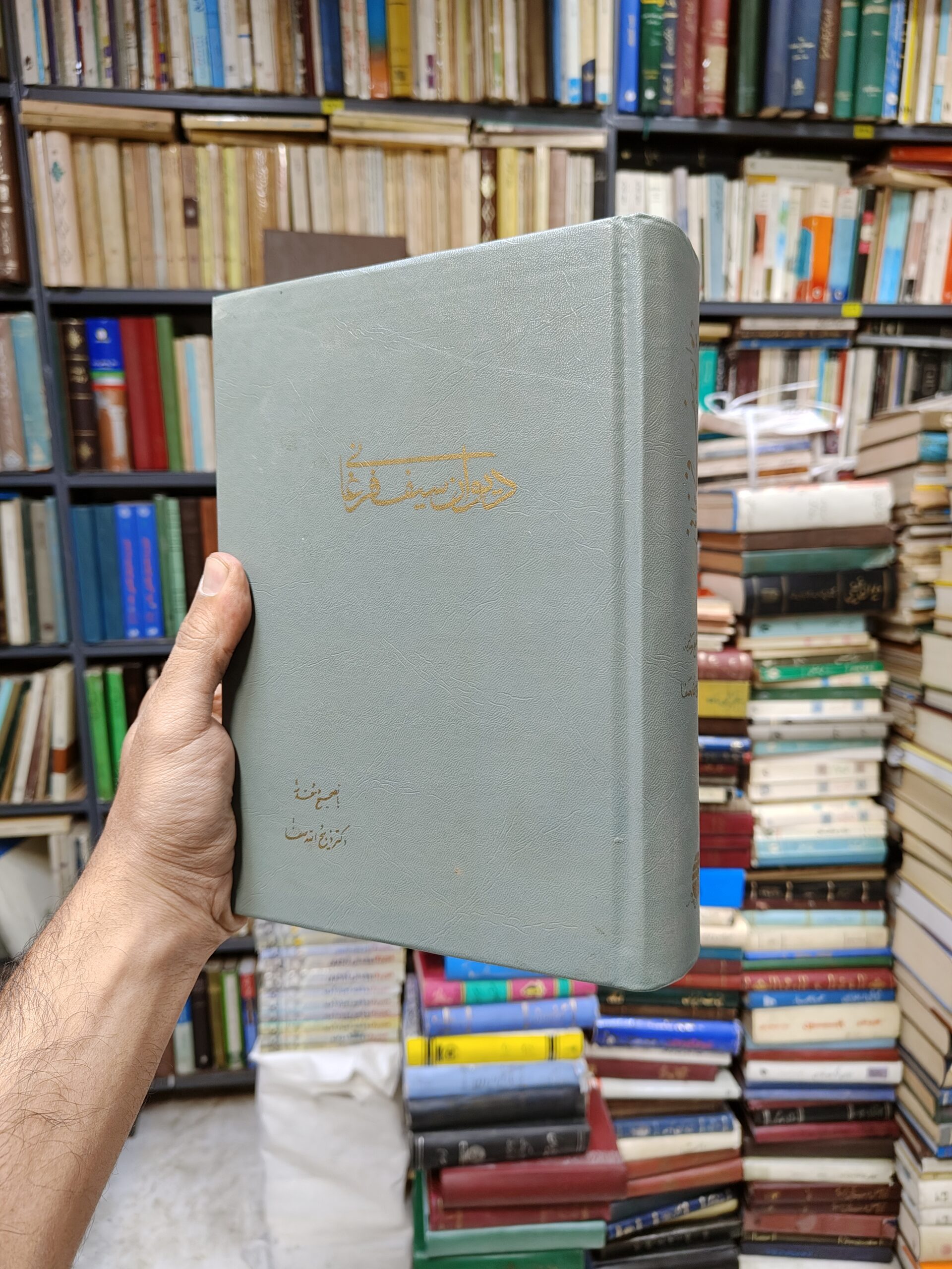 دیوان سیف الدین محمد فرغانی