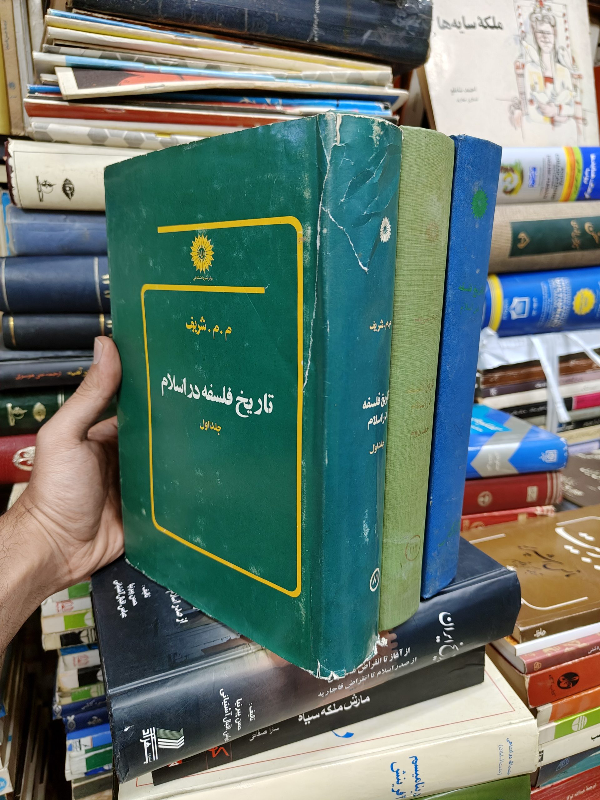 تاریخ فلسفه در اسلام (3 جلدی)