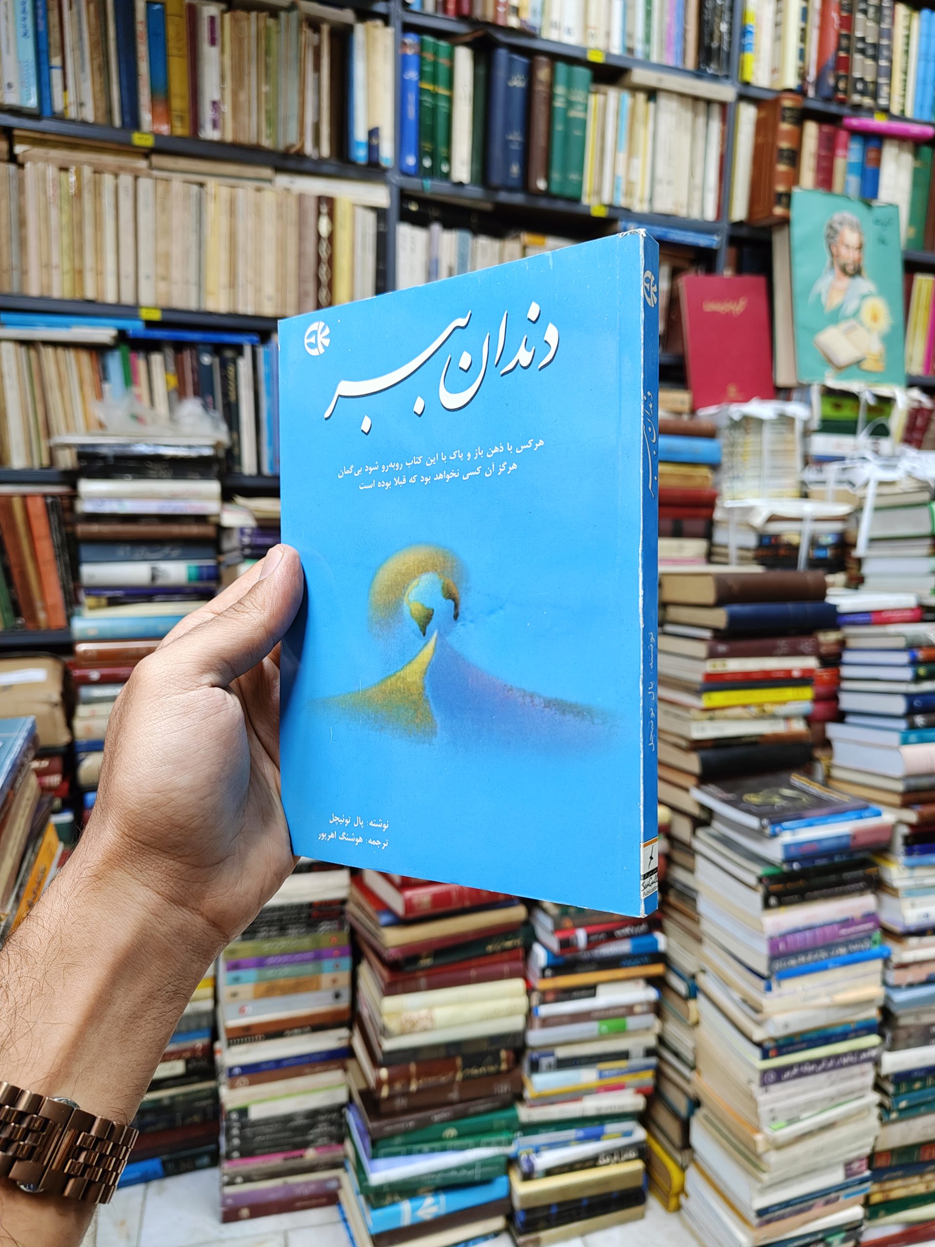 دندان ببر