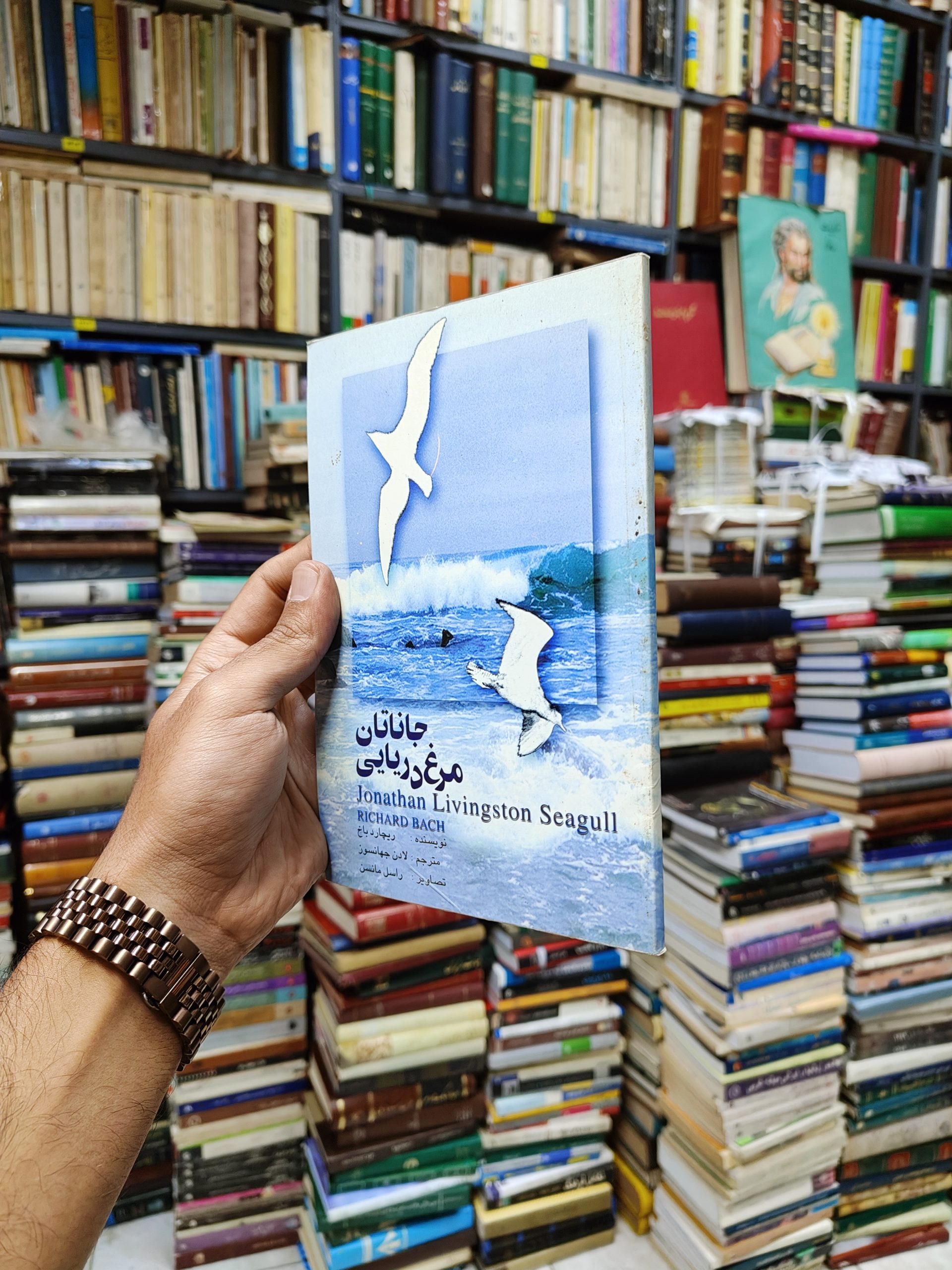 جاناتان مرغ دریایی