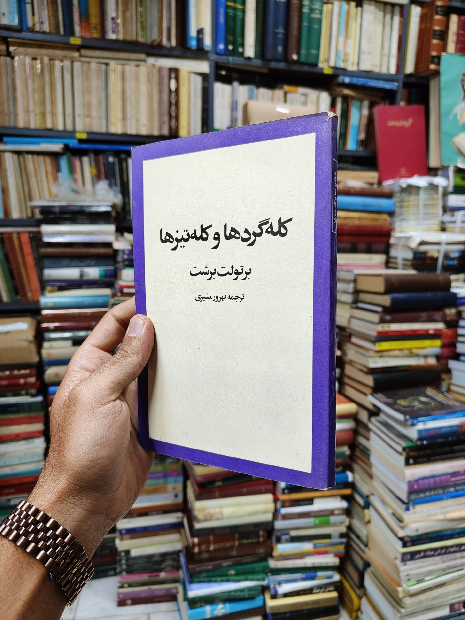 کله گرد ها و کله تیز ها
