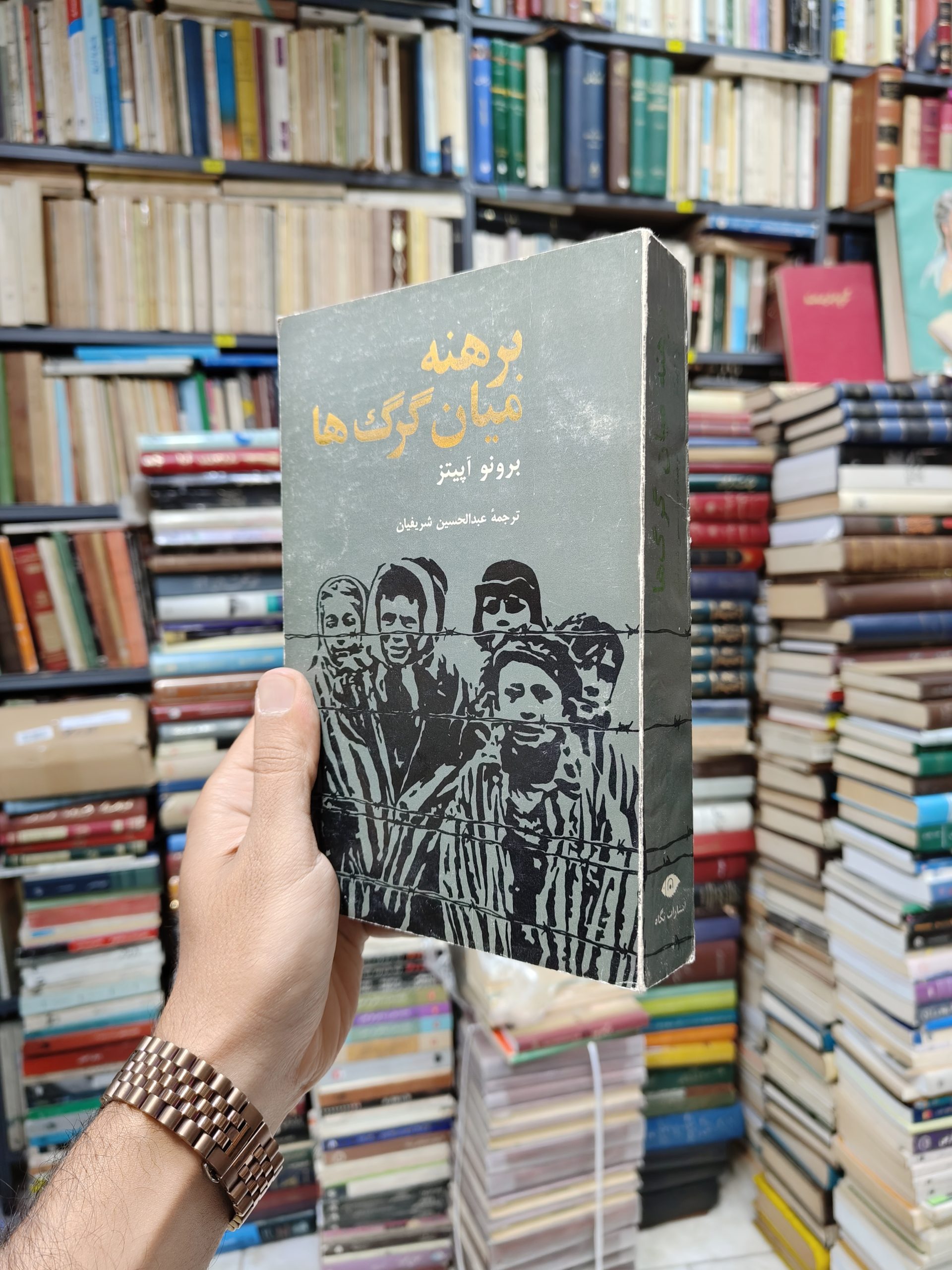 برهنه میان گرگ ها
