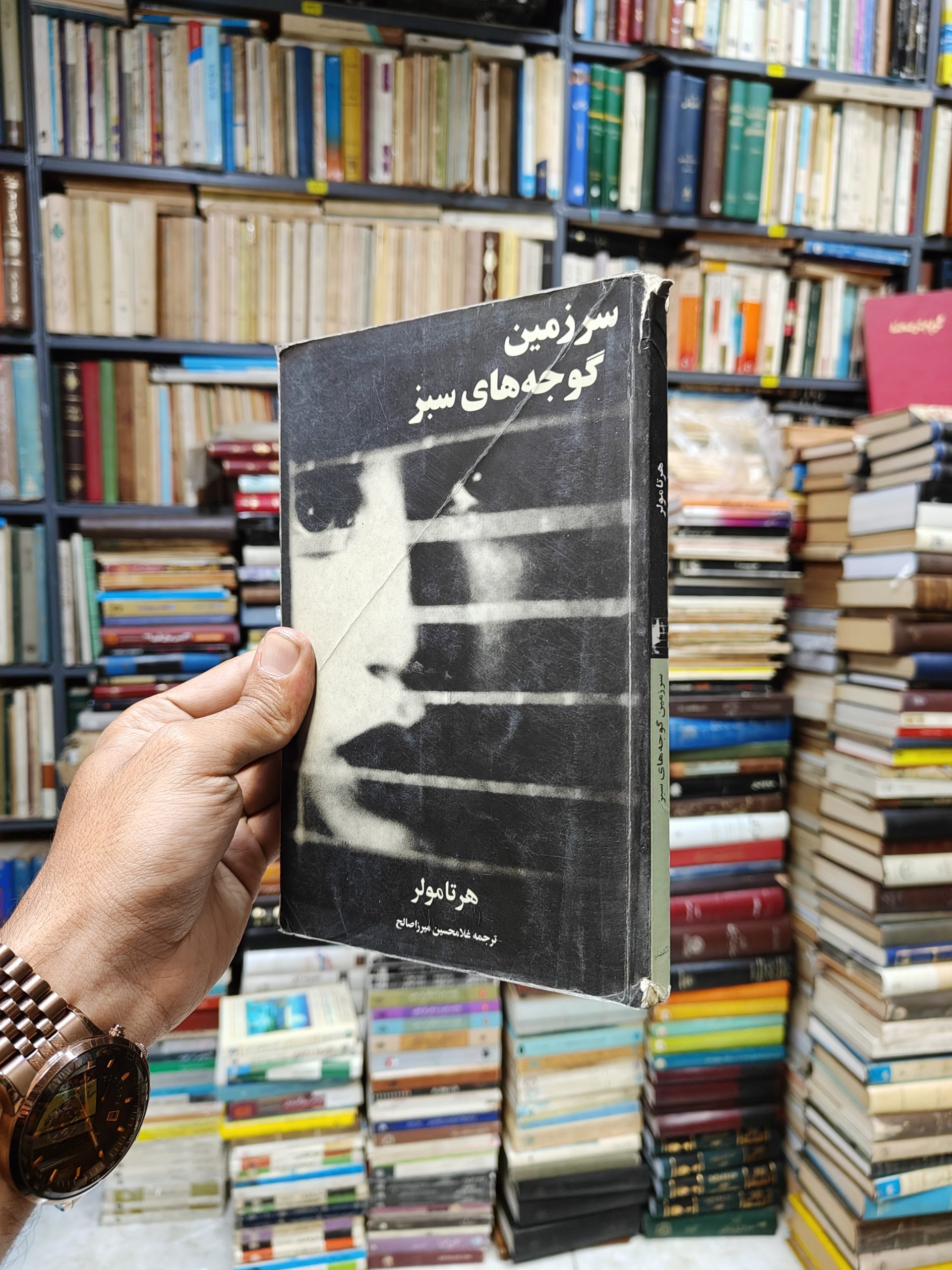 سرزمین گوجه های سبز
