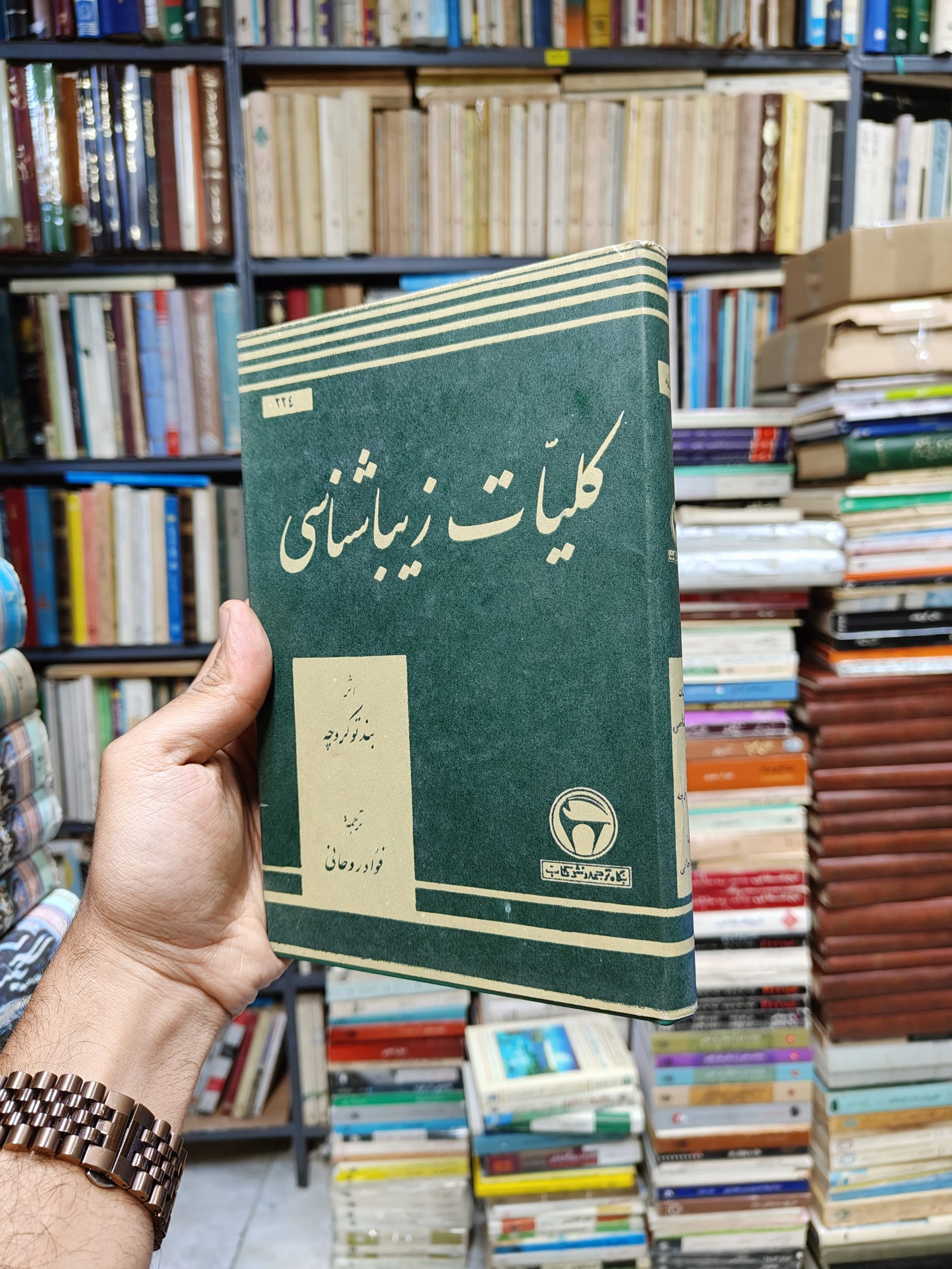 کلیات زیبا شناسی