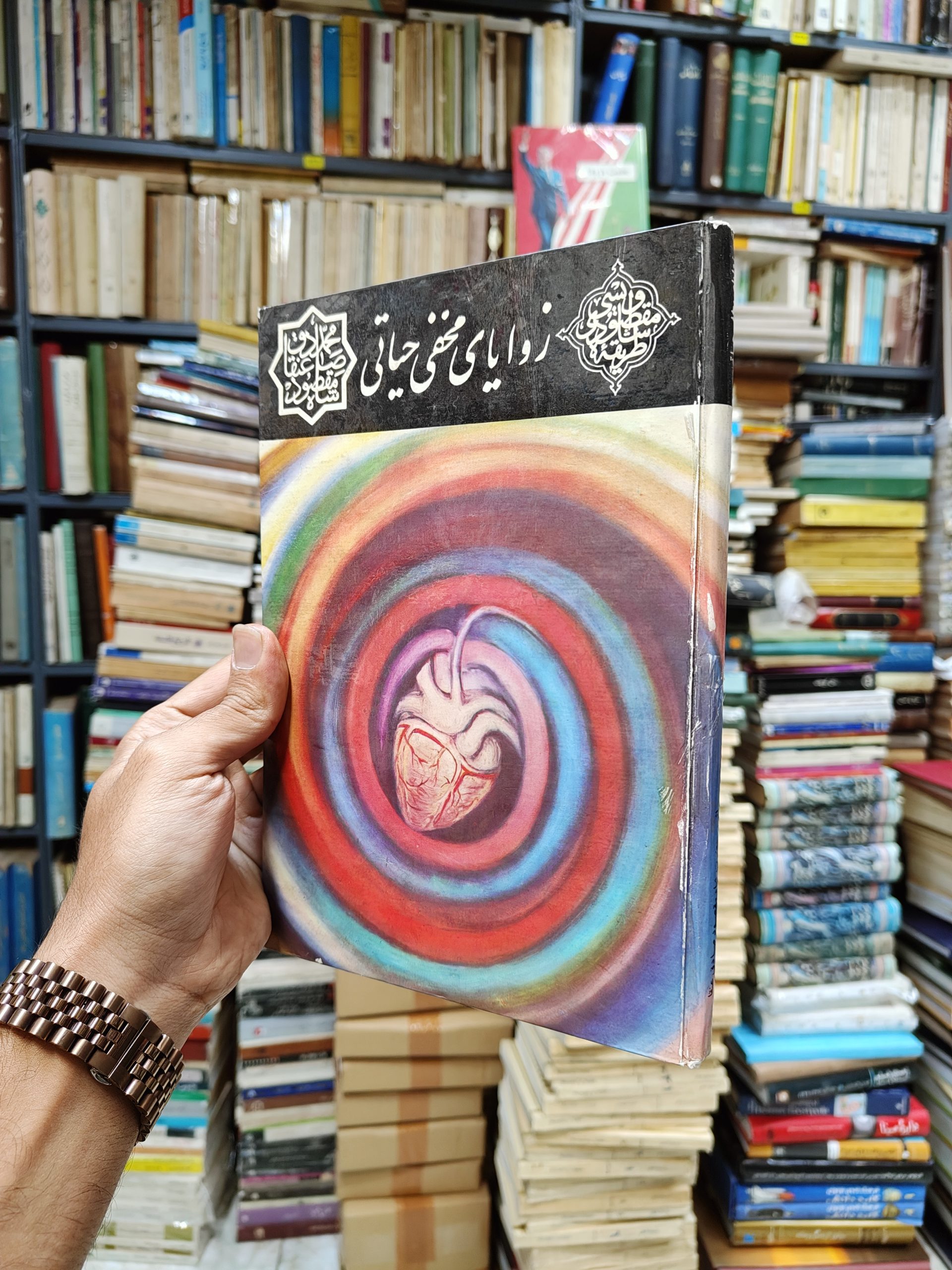 زوایای مخفی حیاتی