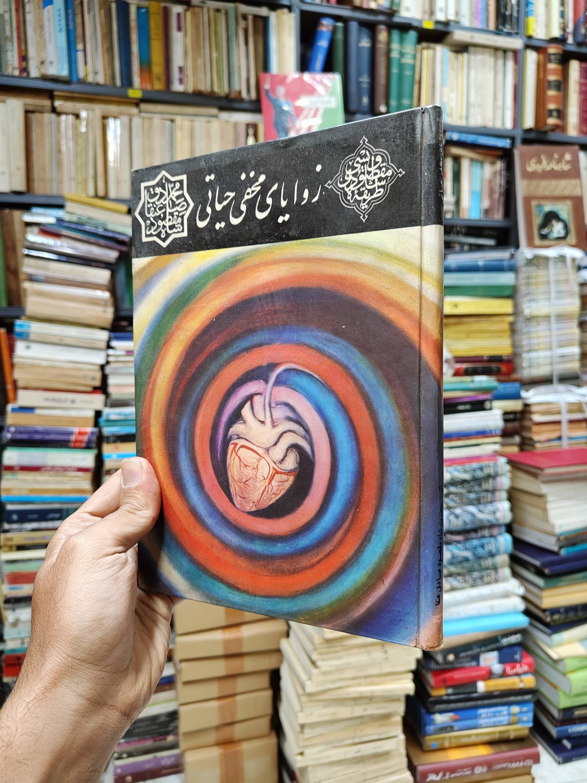 زوایای مخفی حیاتی