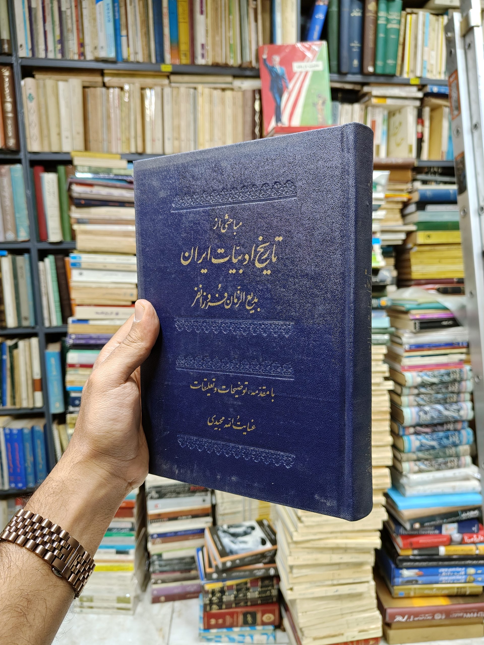 مباحثی از تاریخ ادبیات ایران
