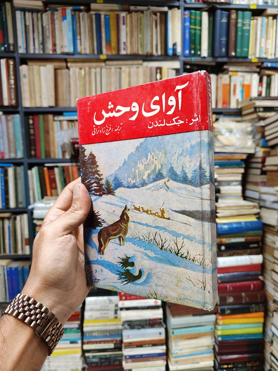 آوای وحش