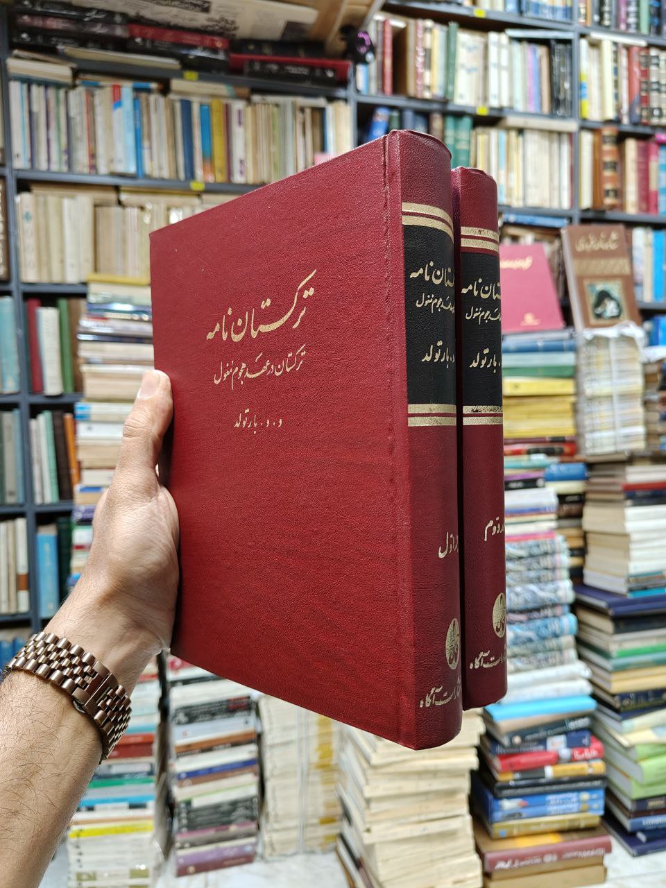 ترکستان نامه (2 جلدی)(ترکستان در عهد هجوم مغول)