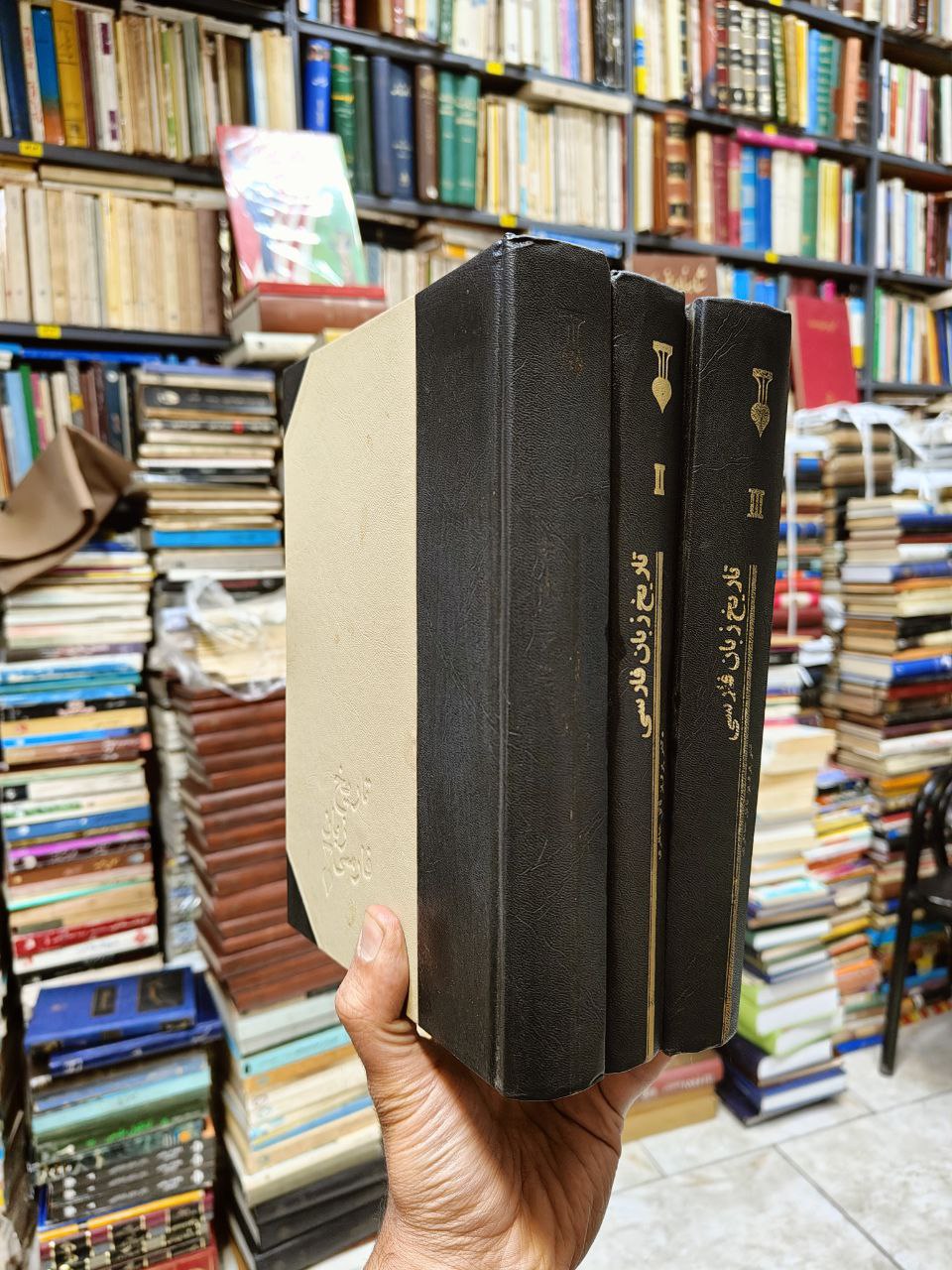 تاریخ زبان فارسی (3 جلدی)