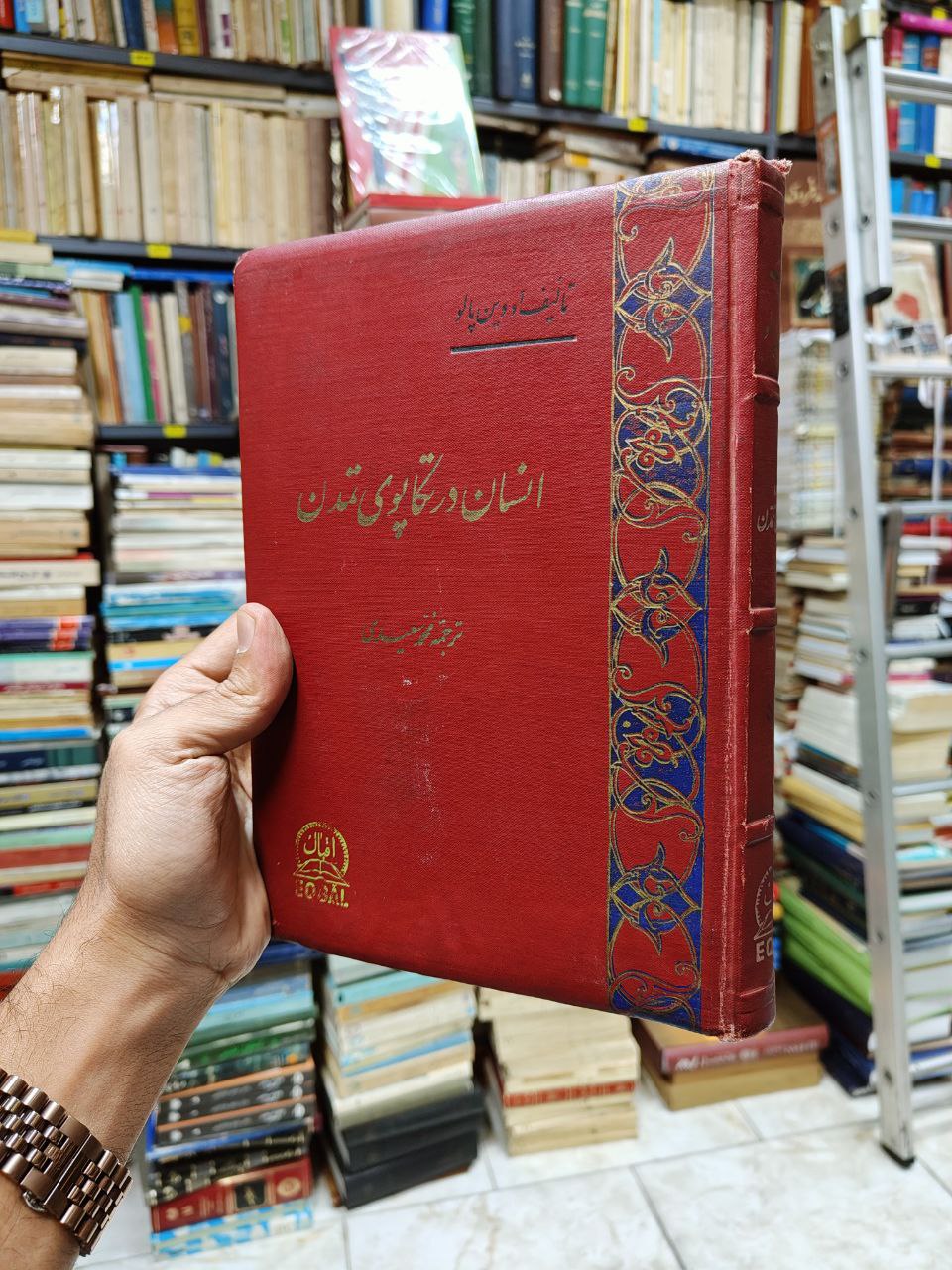 انسان در تکاپوی تمدن