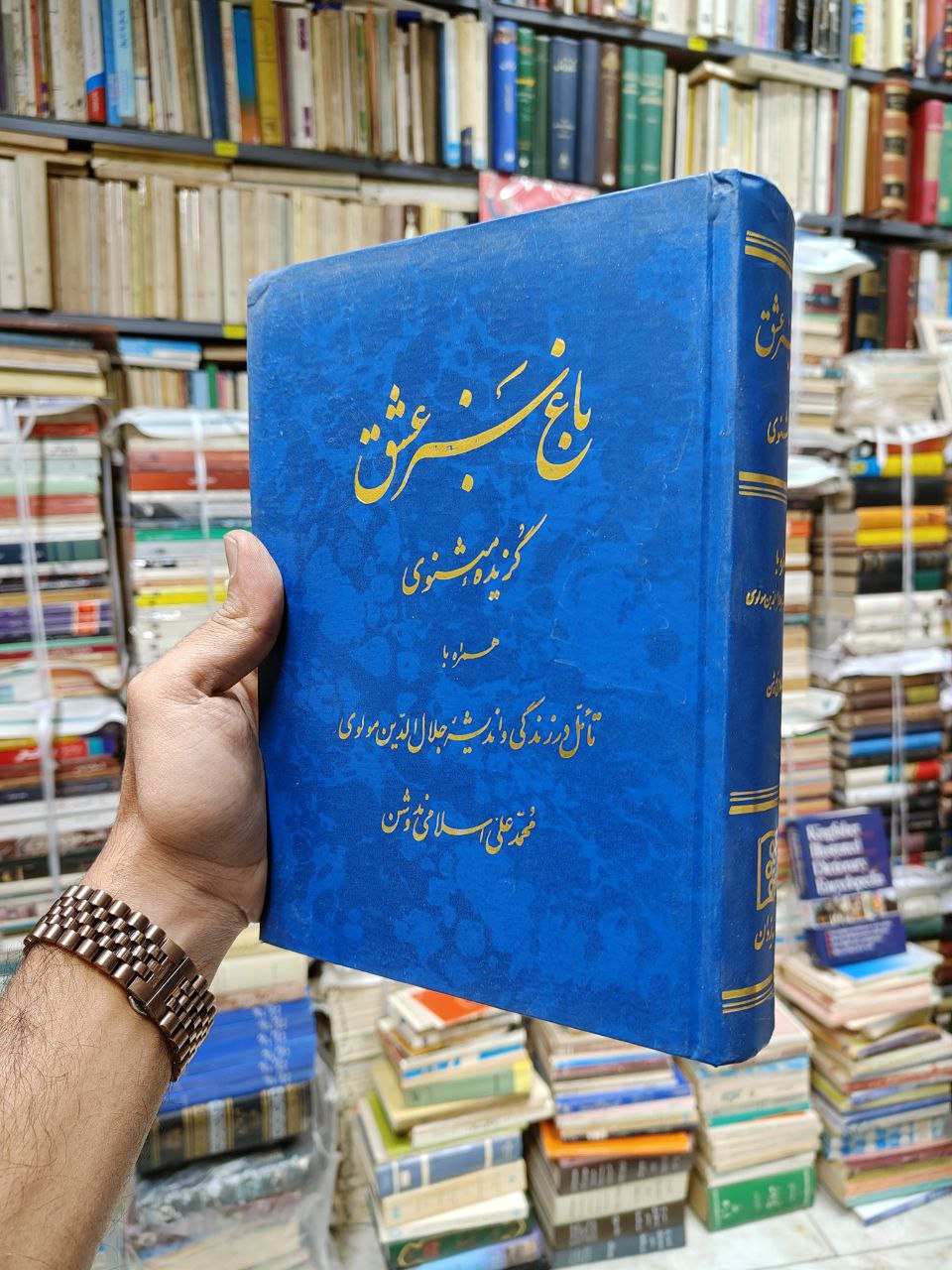 باغ سبز عشق (گزیده مثنوی)