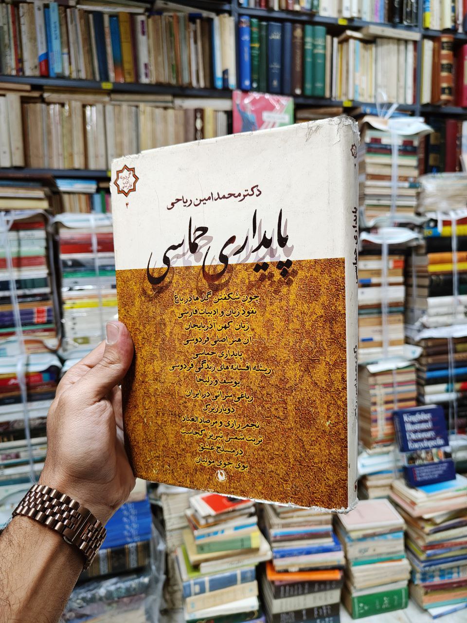 پایداری حماسی