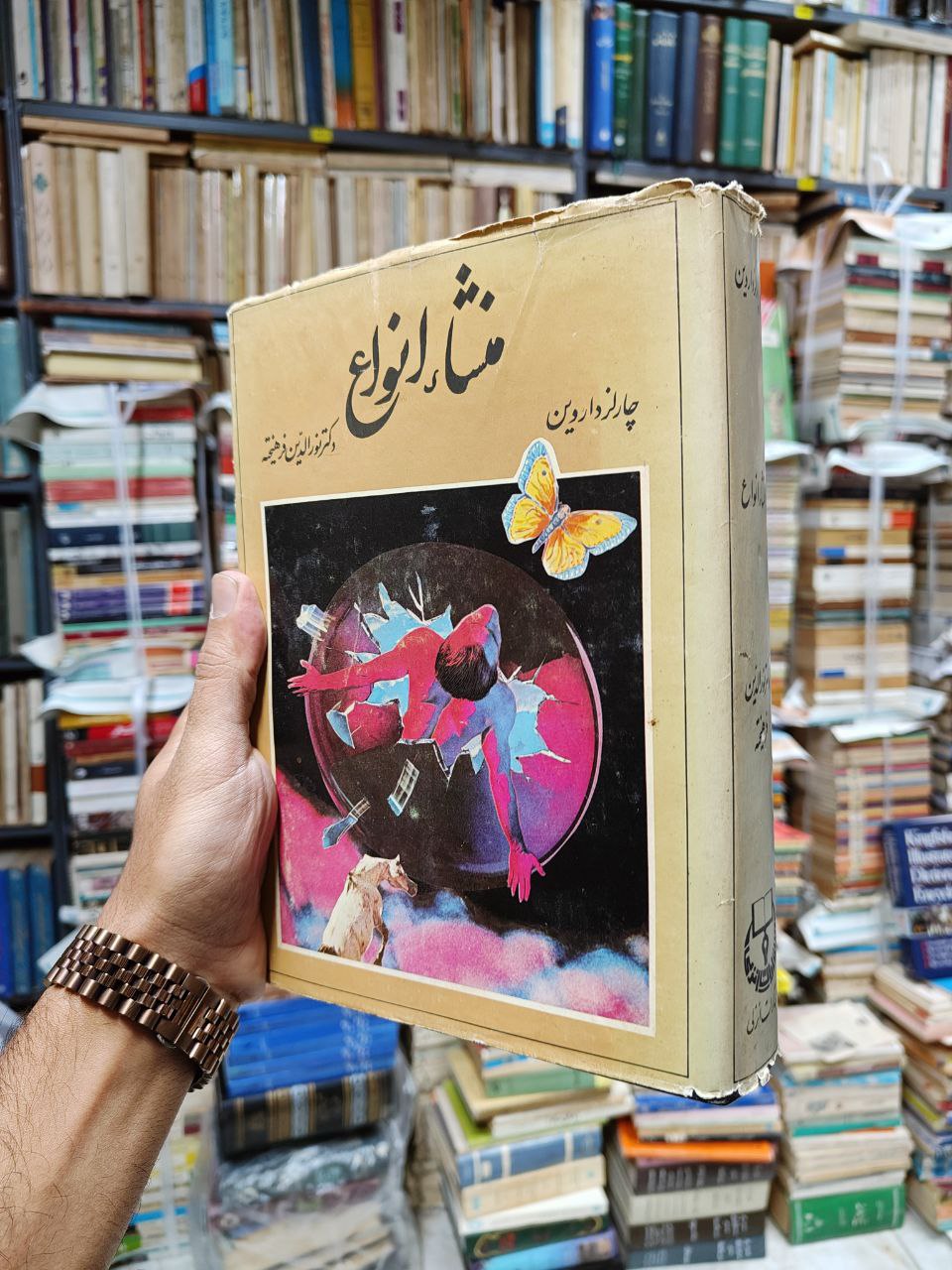 منشاء انواع