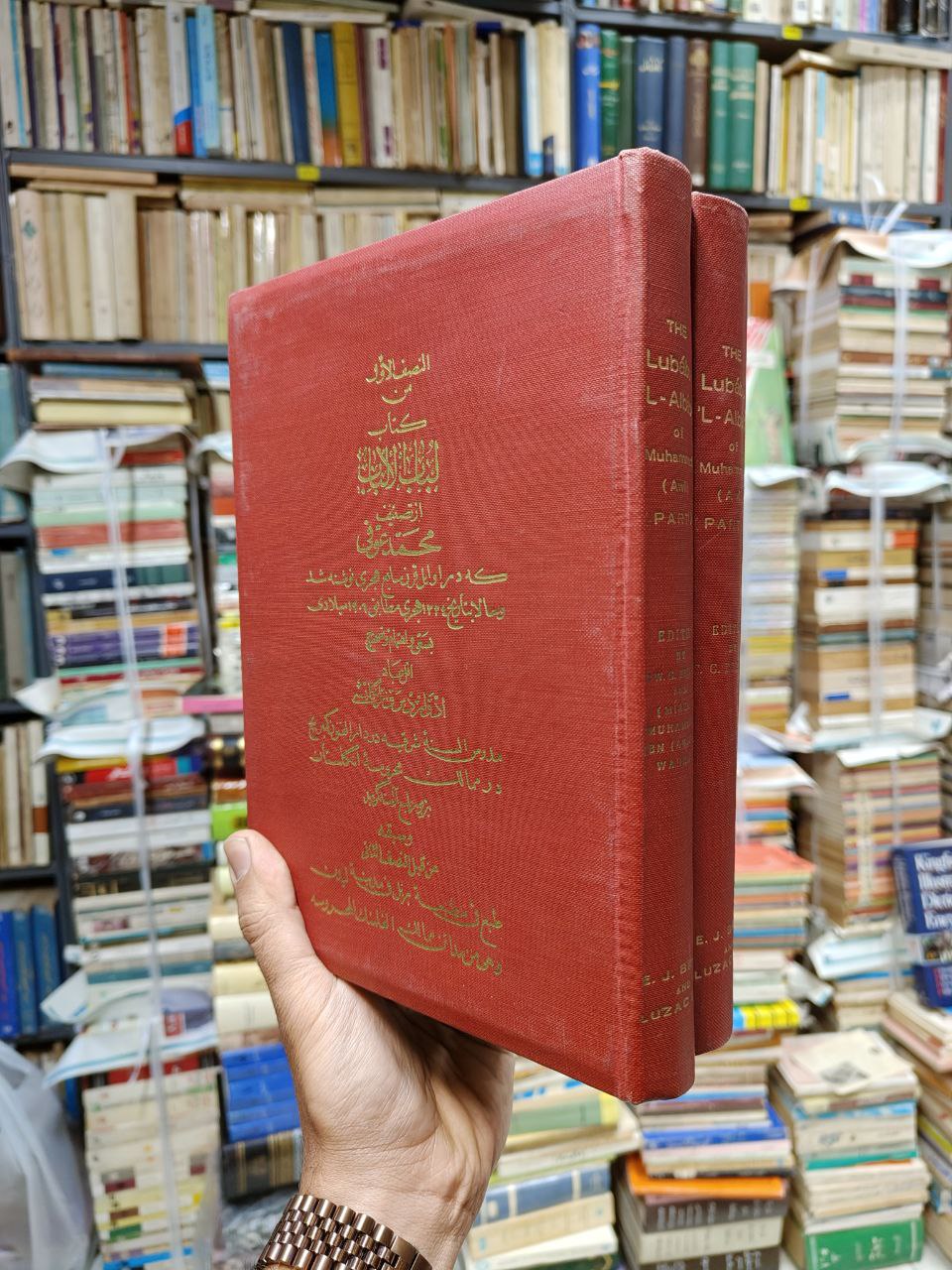 لباب الالباب (2 جلدی)