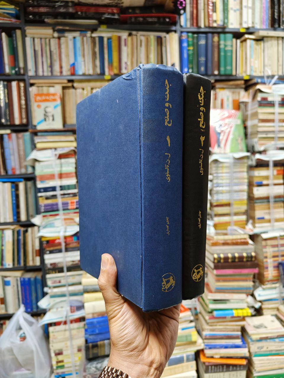 جنگ و صلح (2 جلدی)