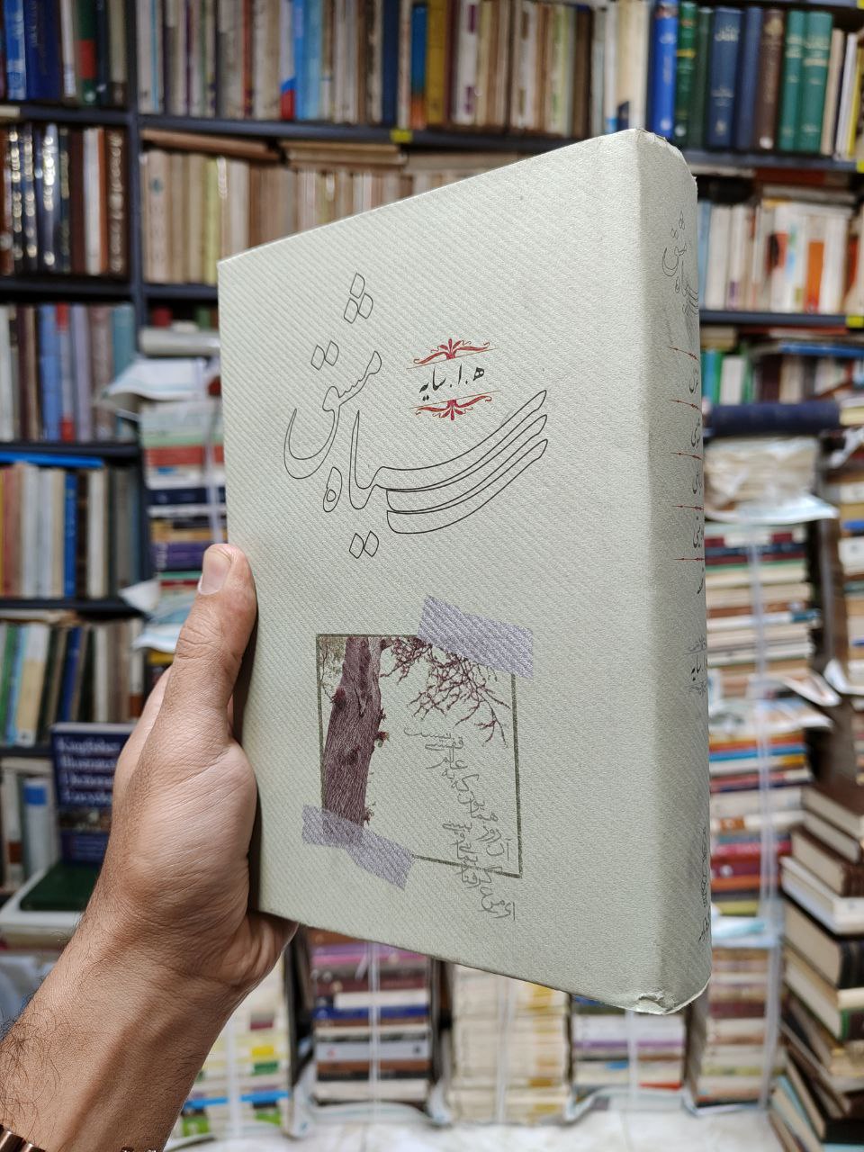 سیاه مشق