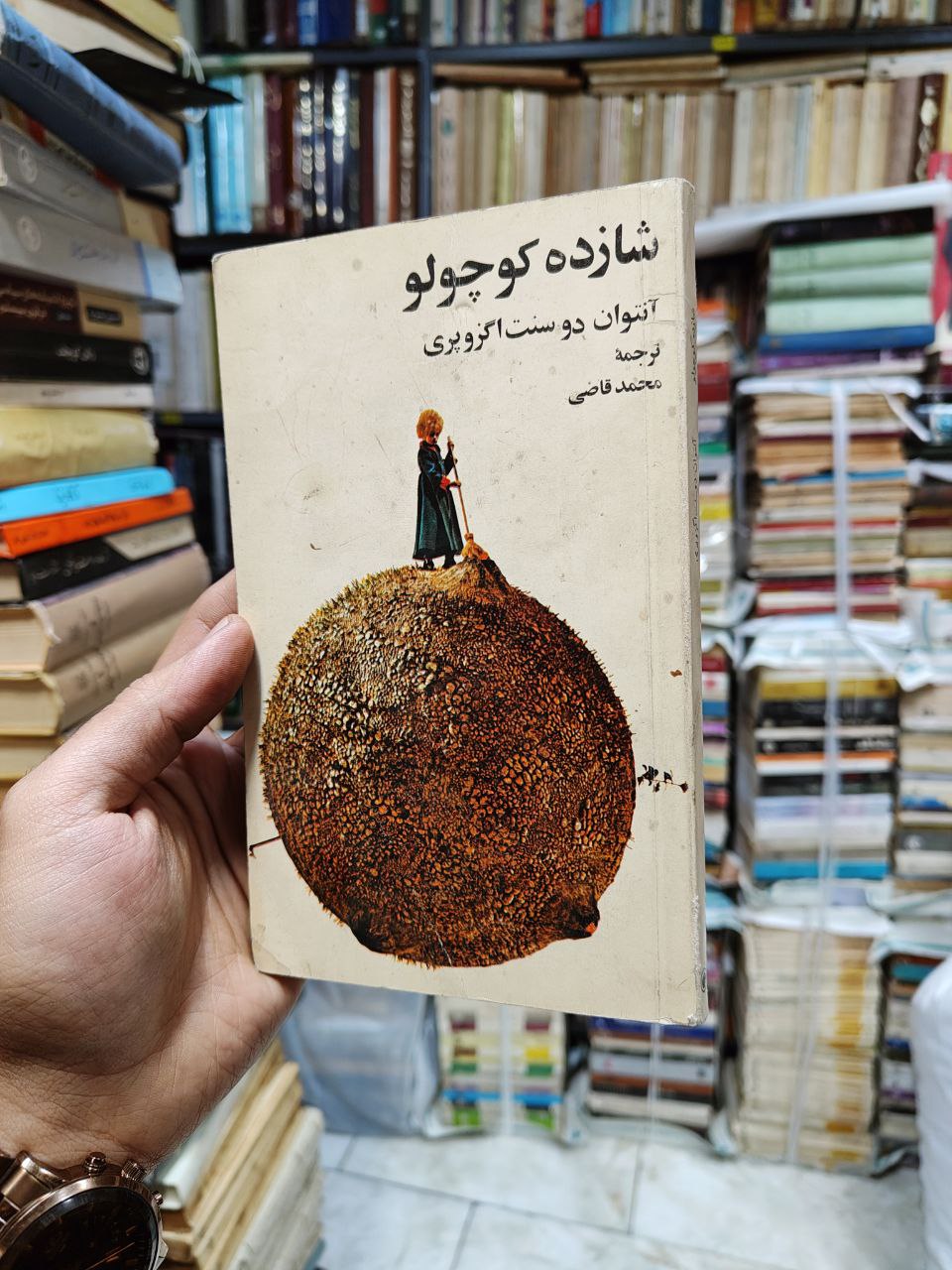شازده کوچولو