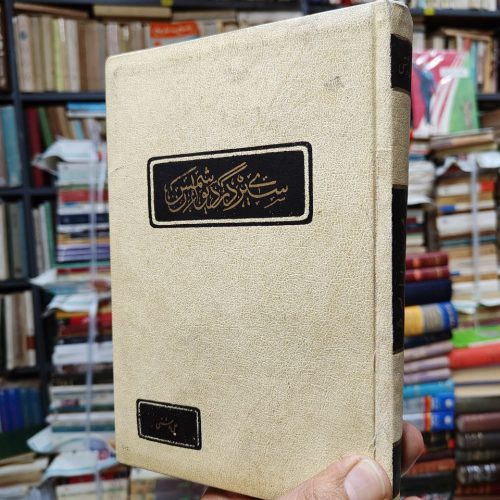 سیری در دیوان شمس